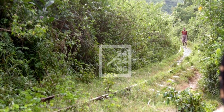 TRANSPORT FERROVIAIRE – Reprise attendue des activités de la ligne ferroviaire Fianarantsoa Côte-Est après Pentecôte