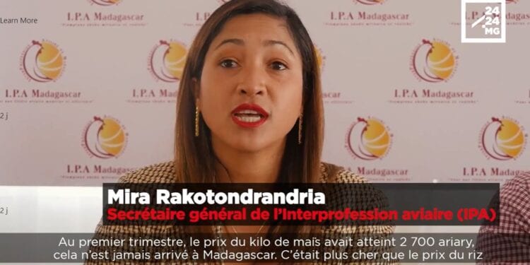 ÉLEVAGE – La filière aviaire demande à l’Etat des solutions pour faire face à la hausse des prix des matières premières
