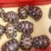 TRAFIC – 59 tortues saisies par la douane à l’ aéroport d’Ivato