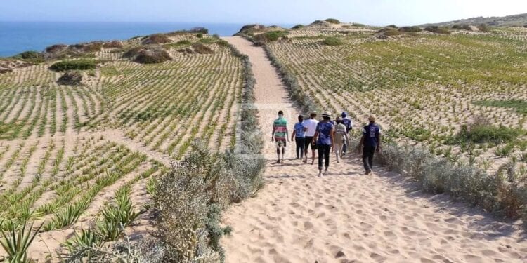 CULTURE DE RENTE – 4 910 tonnes de fibres de sisal exportées par Madagascar en 2022