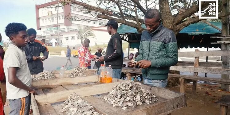 ALIMENT – Rolin Razafimasy, vendeur d&rsquo;huîtres de Fort Dauphin