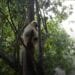 Au moins 66 films documentaires sur Madagascar produits par l’unité de production de BBC depuis 1980