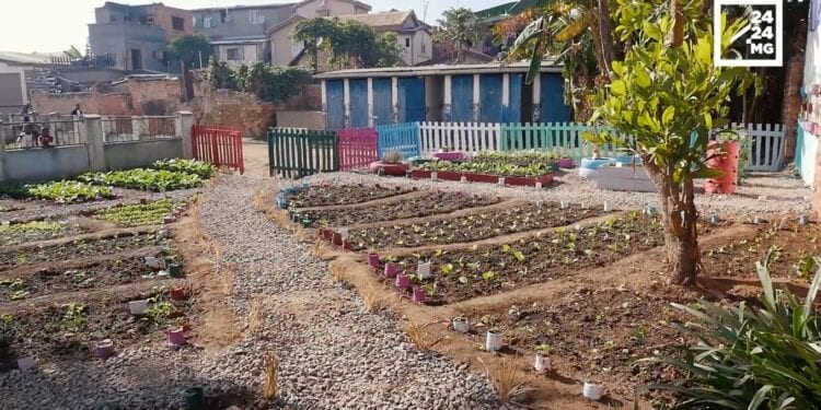 RECYCLAGE – Du biogaz et du compost issus de boues de vidange pour la cantine scolaire d&rsquo;Antanjombe Nord