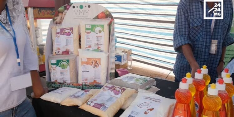CUISINE – Le fruit à pain, la patate douce, la banane verte ou le manioc en alternative au blé pour la farine