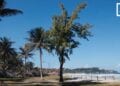 VACANCES – Sur les plages de Fort-Dauphin