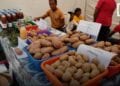 EVENEMENT – Trois jours pour découvrir le monde rural et l’artisanat de la région Analamanga à la Foire Analamanga