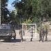 TOLAGNARO – Au moins un mort suite à un affrontement entre les forces de l’ordre et les manifestants de l’association Lusud
