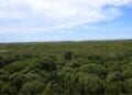 STOCK DE RESSOURCES – La richesse totale de Madagascar composée à environ 30% par son capital naturel