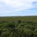 STOCK DE RESSOURCES – La richesse totale de Madagascar composée à environ 30% par son capital naturel