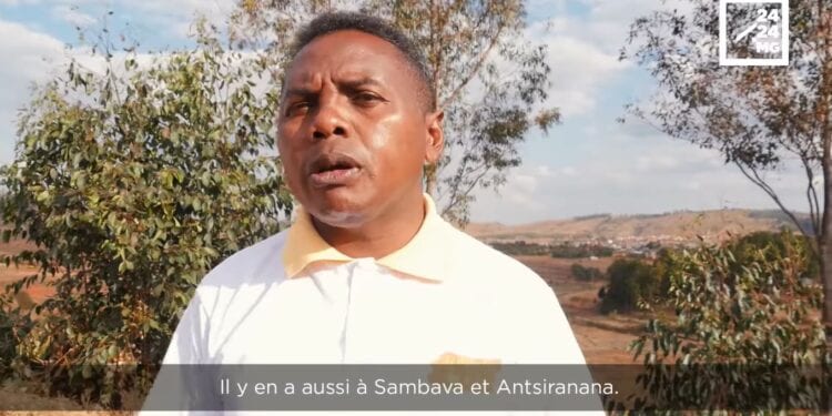 LOUIS FIRMIN HERMÉNÉGILDE RAKOTONOMENJANAHARY, MAIRE DE LA COMMUNE ANTANETIBE MAHAZAZA – “De nouvelles activités commencent à se développer dans la Commune d&rsquo;Antanetibe Mahazaza »