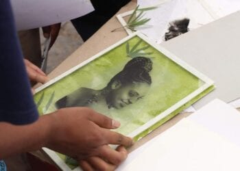 MOIS DE LA PHOTO – Le festival Sar&rsquo;nao pour découvrir la photographie à la chlorophylle