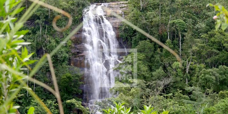 ENVIRONNEMENT – Madagascar reçoit un premier paiement de 8,8 millions de dollars de crédit carbone en récompense de la réduction de 1,76 million de tonnes de ses émissions de carbone en 2020