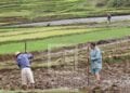 Le secteur du commerce et le secteur agricole priorisés par les banques dans leur octroi de crédits