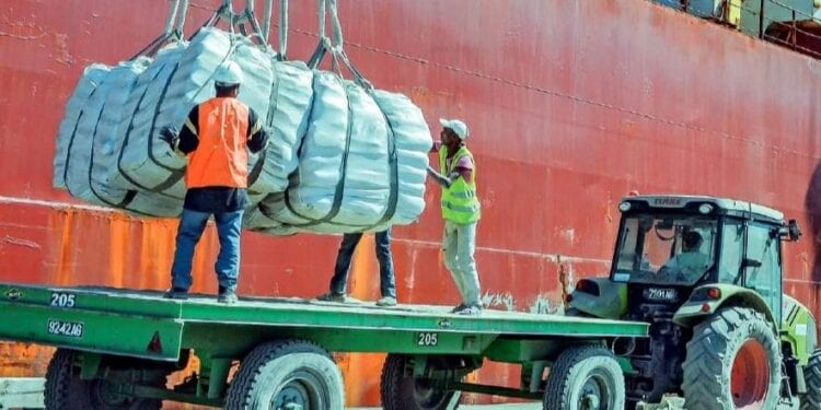 IMPORTATION – 827 300 tonnes de ciment mis à la consommation durant les dix premiers mois 2023 