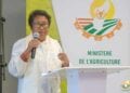 AGRICULTURE – Un financement de plus de 11 milliards d&rsquo;ariary de l&rsquo;Usaid pour la promotion de la culture de variétés améliorées de sorgho, de millet et d’arachide