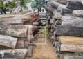 Le gouvernement dit négocier avec la Tanzanie pour le rapatriement des bois de rose saisis au Kenya en 2014