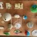 DESIGN – Du papier fabriqué à partir d’algues invasives et ses dérivés