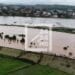 CRUE – Alerte jaune montée des eaux dans de nombreuses communes de l&rsquo;Atsimondrano suite à la hausse du niveau de la Sisaony