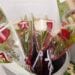 CELEBRATION – Des fleurs naturelles pour les amoureux et les célibataires à l’occasion de la Saint-Valentin