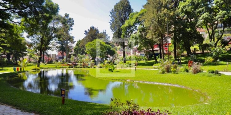 ENVIRONNEMENT – Un arboretum et un parc botanique, un projet présidentiel à Ambatobe
