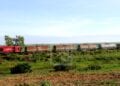 Hausse du volume de marchandises transportées via le réseau ferroviaire Nord