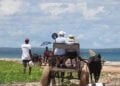 Plus de 22.000 touristes arrivés à Madagascar sur les deux premiers mois de 2024