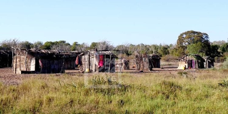 Le besoin d’aide alimentaire extérieure maintenu pour Madagascar, d’après la FAO