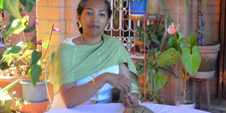 ENVIRONNEMENT – Hanta Ramakavelo préside le Conseil consultatif du WWF Madagascar