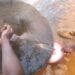 MINES ARTISANALES – 215 zones d’encadrement minier rapportées en 2023