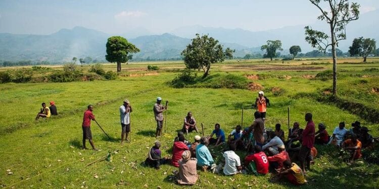 Près de 3,4 millions d&rsquo;hectares de ressources naturelles gérés par des communautés de base à Madagascar