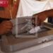 ELECTIONS – Début de la campagne électorale pour les législatives ce mercredi