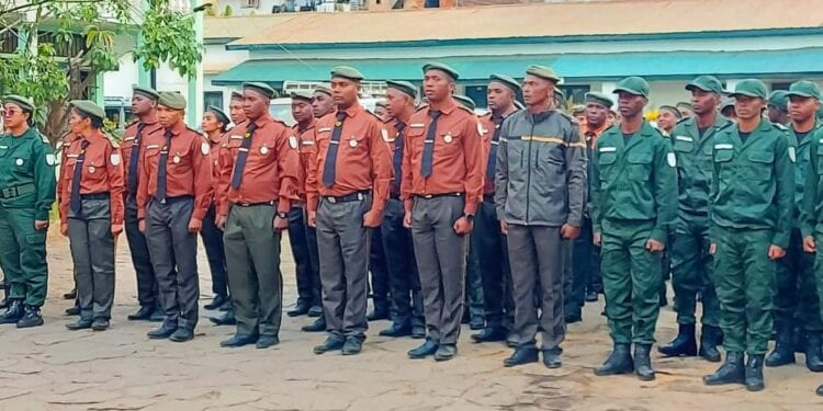 ENVIRONNEMENT – 336 agents forestiers répartis dans tout le territoire malgache