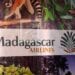 TRANSPORT AERIEN – Madagascar Airlines propose des crédits pour financer le voyage par un prêt