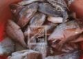 CONSOMMATION – 307 000 tonnes de besoin annuel en poissons