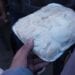 FOOD – Le champignon pleurote, savoureux, facile à préparer et à cultiver chez soi