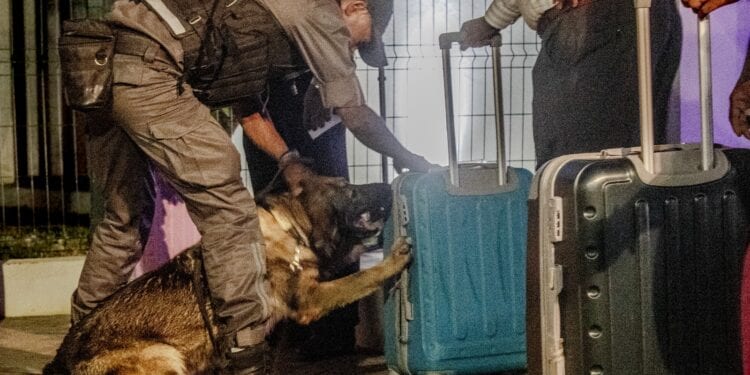 LUTTE CONTRE LES TRAFICS – La brigade canine de la Douane entre en service à Nosy-Be