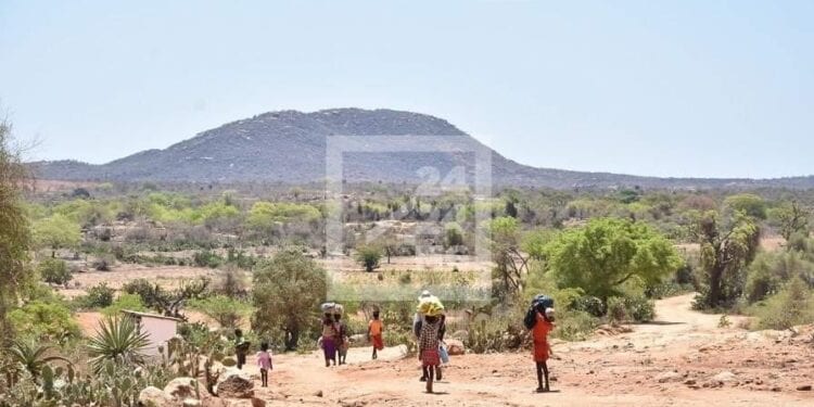 CLIMAT – Une année 2023 marquée par un déficit pluviométrique et la sécheresse à Madagascar, selon l’Organisation météorologique mondiale