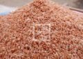 CÉRÉALES – La FAO avance un besoin d’importation de 430 000 tonnes de riz pour la campagne de commercialisation 2024-2025