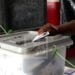 COMMUNALES – La CENI rassure sur l’arrivée des imprimés sensibles à Madagascar avant le 19 novembre