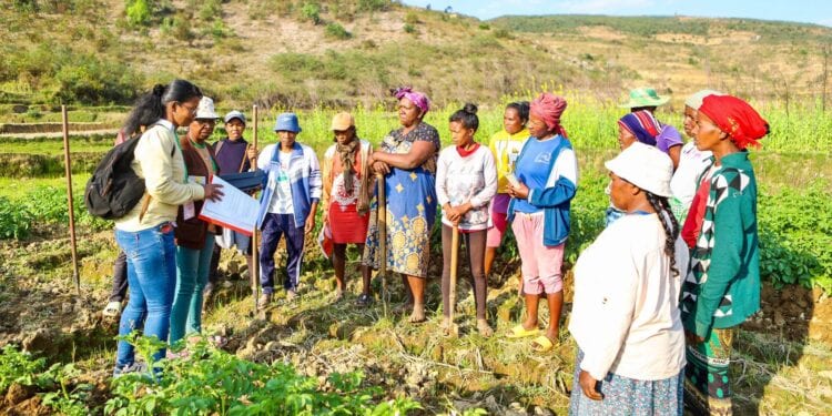 DÉVELOPPEMENT RURAL – L’approche Shep vulgarisée pour promouvoir l’agriculture orientée vers le marché