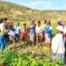 DÉVELOPPEMENT RURAL – L’approche Shep vulgarisée pour promouvoir l’agriculture orientée vers le marché