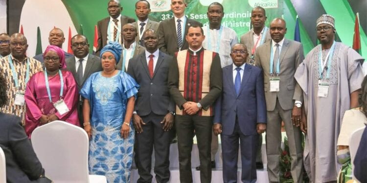 AGRICULTURE – Haja Sergio Rahajason incite AfricaRice à intensifier les recherches sur la riziculture climato-intelligente pour faire face au changement climatique en Afrique