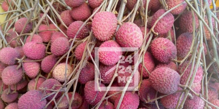 COMMERCE – Le prix du kilo du litchi fixé à 1 500 ariary à l’ouverture de la campagne de collecte