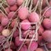 COMMERCE – Le prix du kilo du litchi fixé à 1 500 ariary à l’ouverture de la campagne de collecte