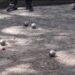 PETANQUE – « Zigle » Daniel Riantsoa Rakotondrainibe décroche le ticket pour les quarts de finale de tir en précision aux Mondiaux à Dijon