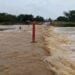 Le ministère des Travaux publics annonce des travaux sur le passage à gué au niveau de la rivière d’Ifasy dès ce lundi