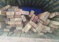 BIODIVERSITE – Huit personnes arrêtées pour transport illicite de bois de palissandre et de bois de nato à Toamasina