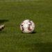 MINI-FOOT – Le mondial de football à cinq accueilli par Madagascar en 2025