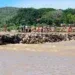 ROUTE NATIONALE – Reprise attendue de la circulation au niveau du passage à gué à Ifasy sur la RN6 ce vendredi