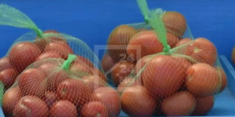 COMMERCE – Hausse de 106% des importations des produits à base de tomate